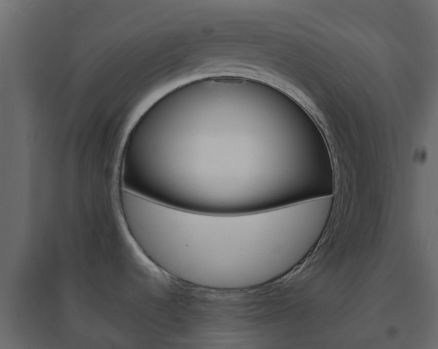 X0000096641536200802050946