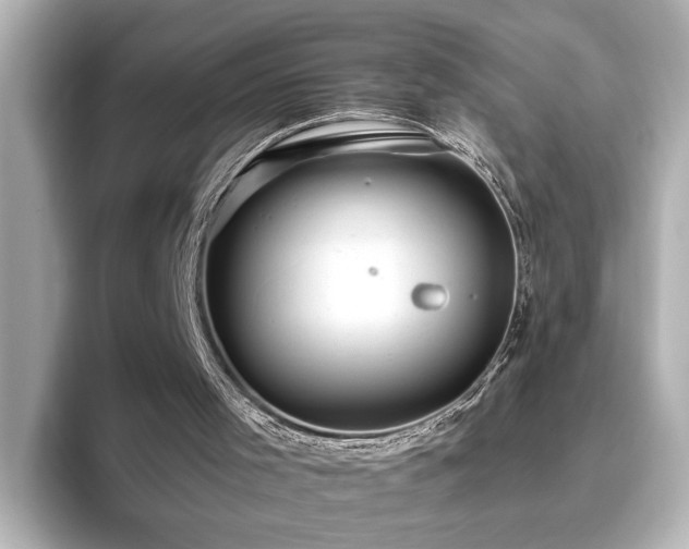X0000096640001200802051138
