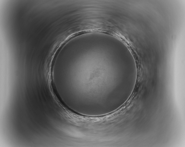 X0000096640002200802051138