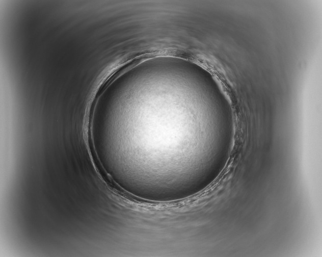 X0000096640003200802051138