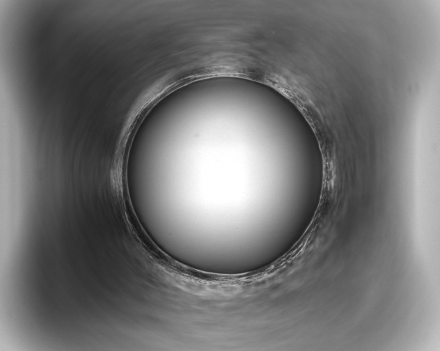 X0000096640004200802051138