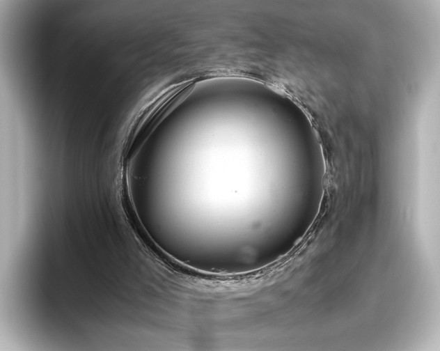 X0000096640005200802051138