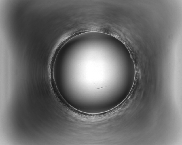 X0000096640006200802051138