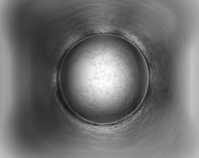 X0000096640010200802051138
