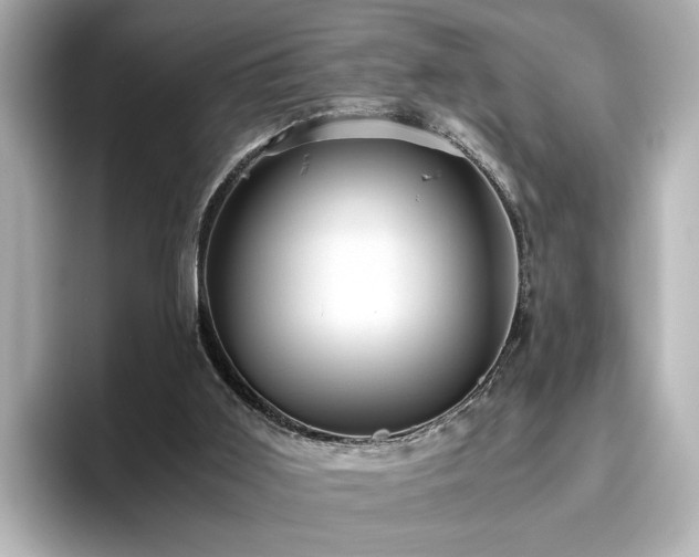 X0000096640011200802051138