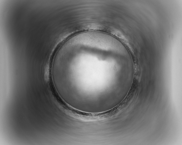X0000096640012200802051138