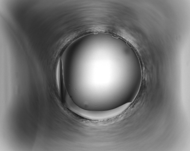 X0000096640013200802051138