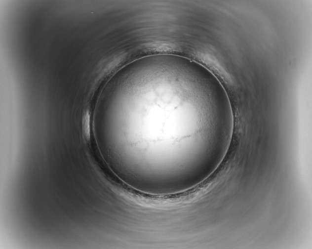 X0000096640014200802051138