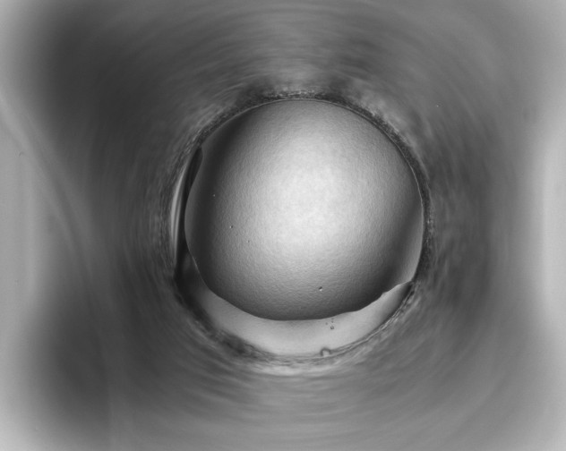 X0000096640017200802051138