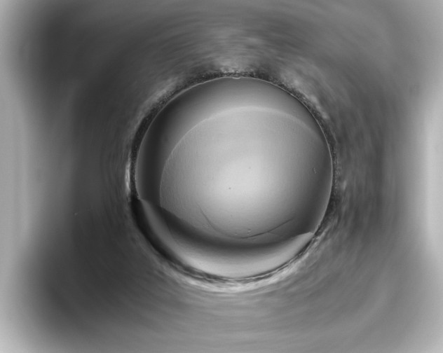 X0000096640019200802051137
