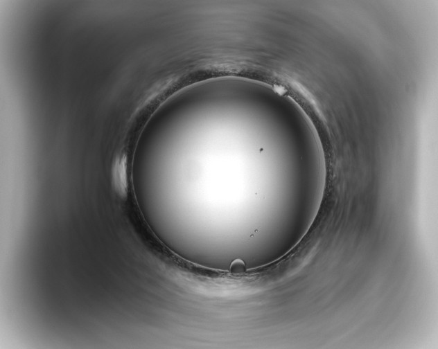 X0000096640020200802051137