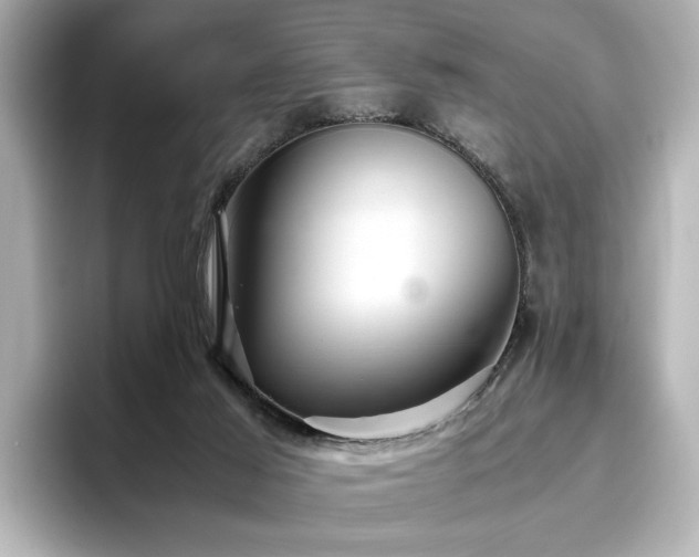 X0000096640021200802051137