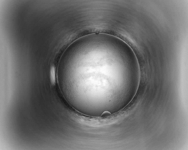X0000096640022200802051137