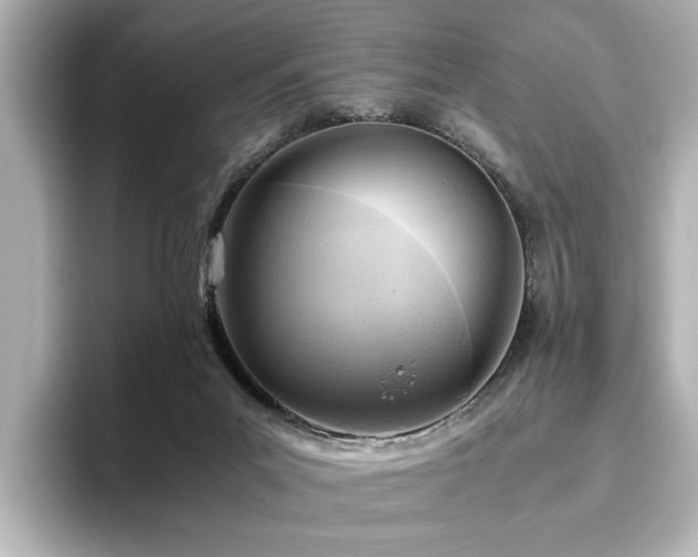 X0000096640023200802051137