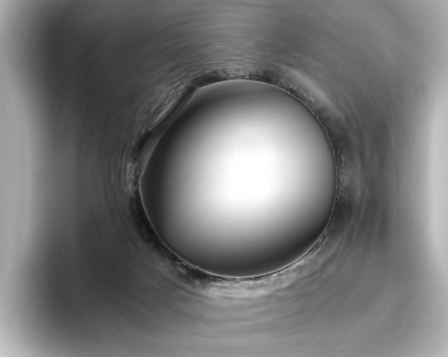 X0000096640025200802051137