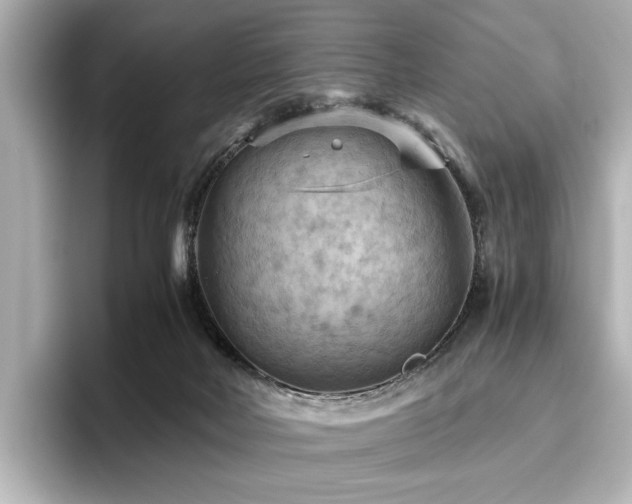 X0000096640026200802051137
