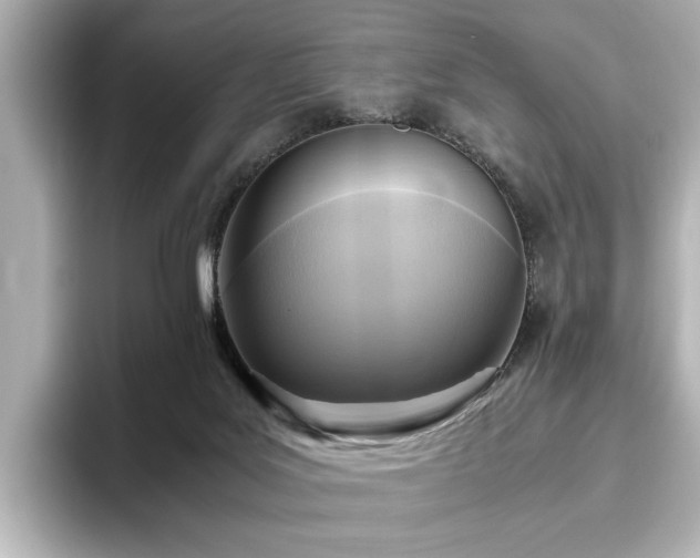 X0000096640027200802051137