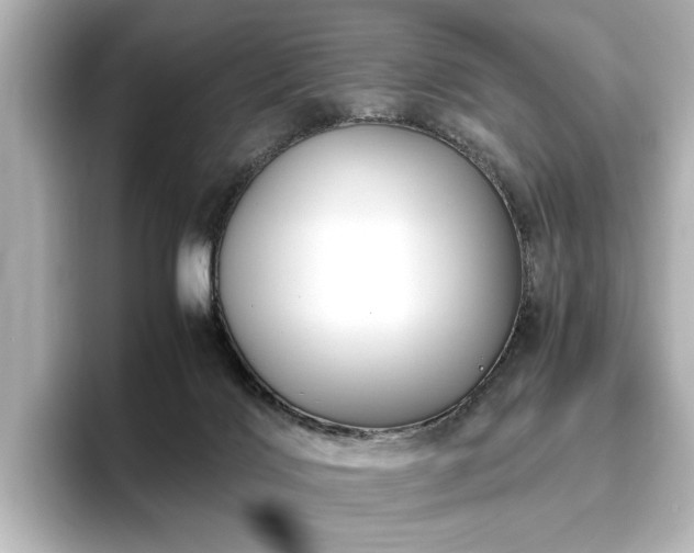 X0000096640028200802051137