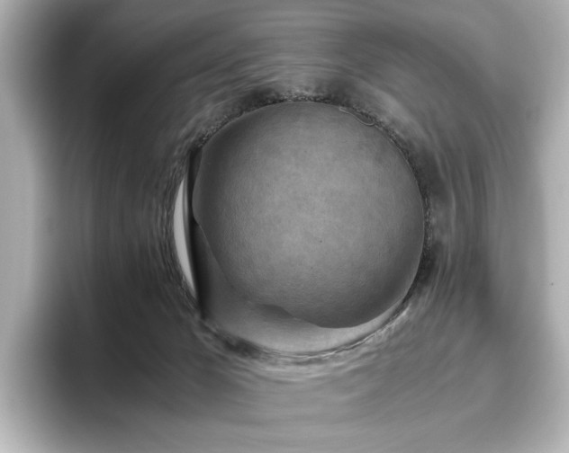 X0000096640029200802051137