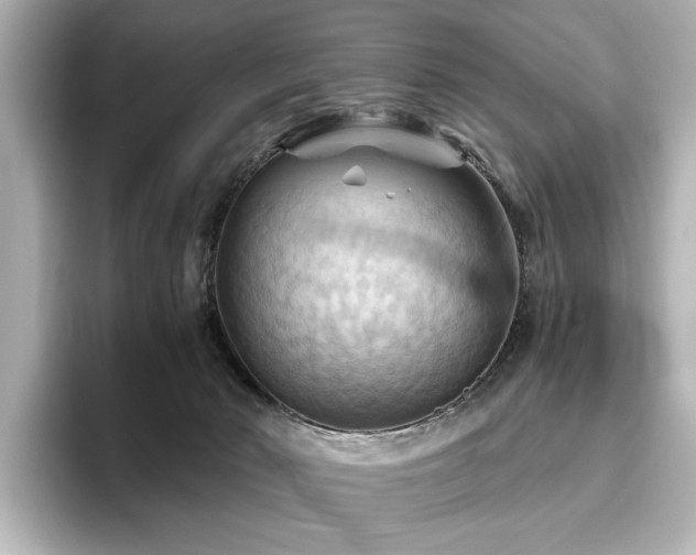 X0000096640030200802051137