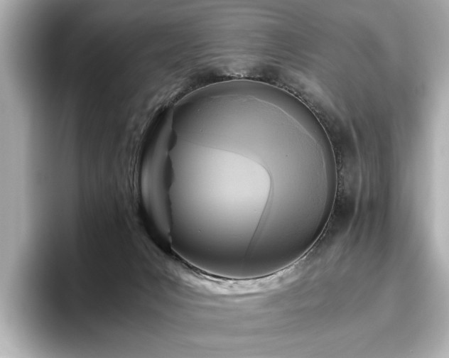 X0000096640031200802051137