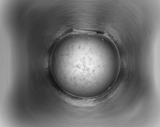 X0000096640032200802051137