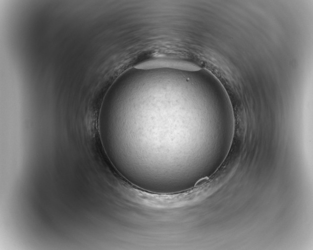 X0000096640034200802051137