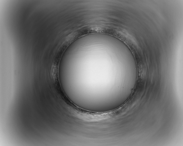 X0000096640036200802051137
