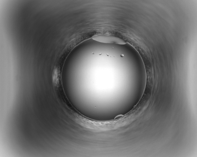 X0000096640038200802051137