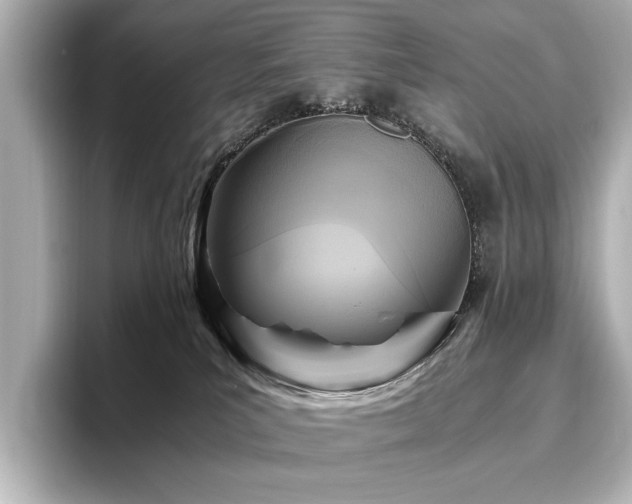 X0000096640039200802051137