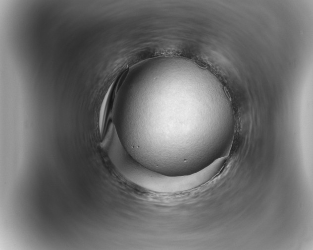 X0000096640041200802051137