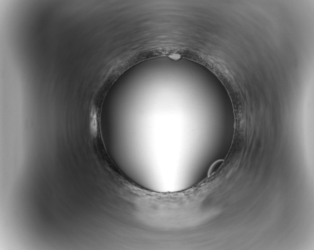 X0000096640042200802051137