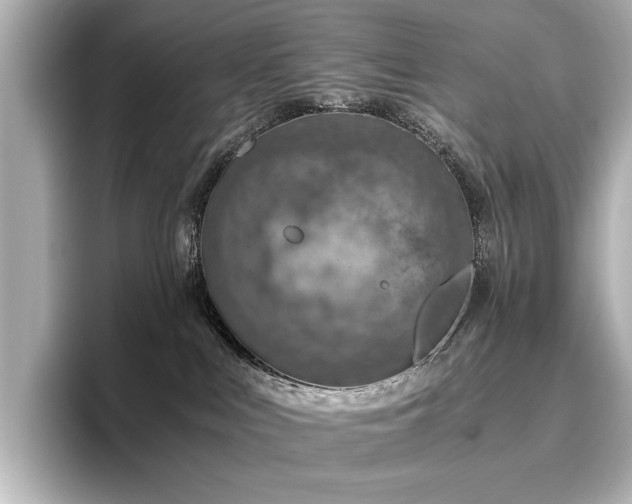 X0000096640043200802051137