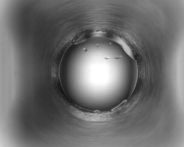 X0000096640044200802051137