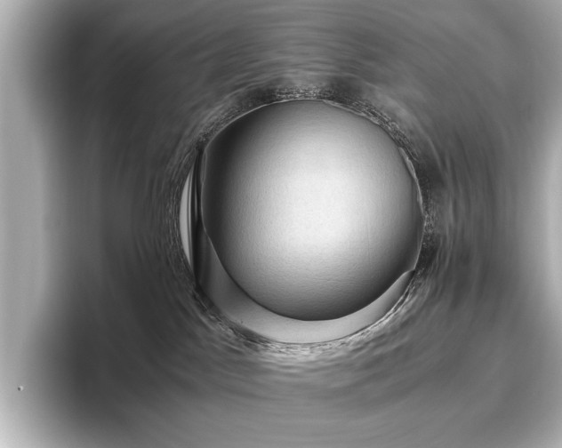 X0000096640045200802051137