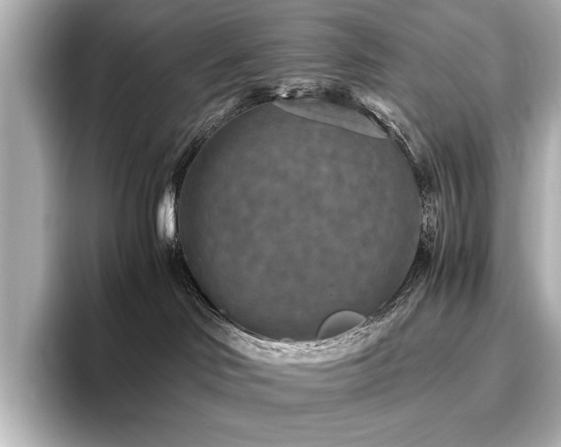 X0000096640046200802051137