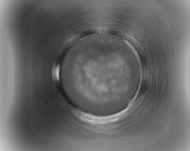 X0000096640047200802051137
