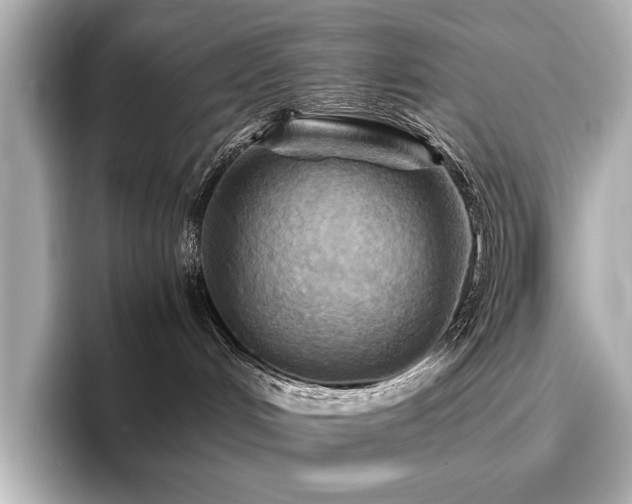 X0000096640048200802051137