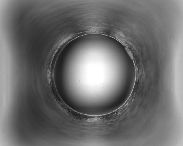 X0000096640050200802051136