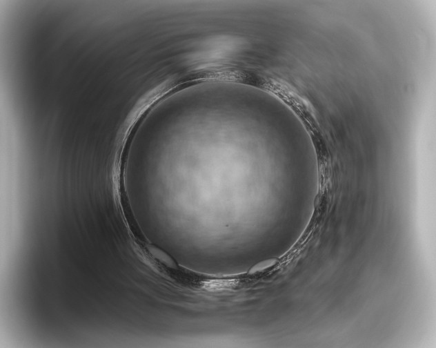 X0000096640051200802051136