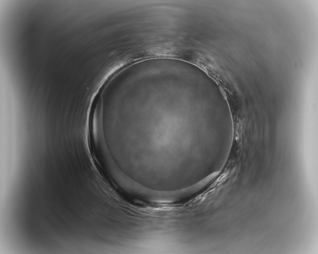 X0000096640052200802051136