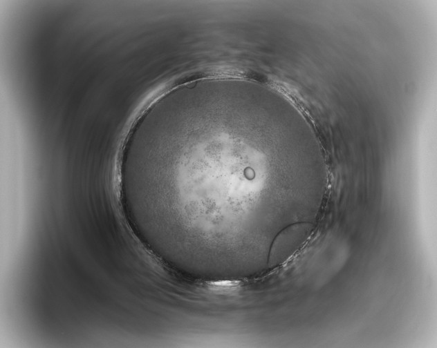 X0000096640053200802051137