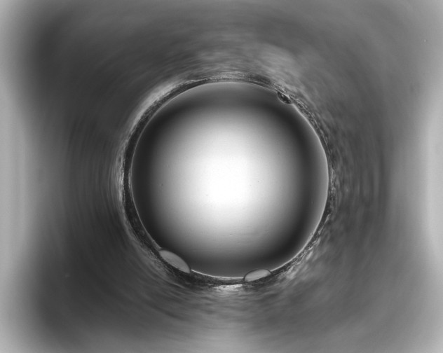 X0000096640054200802051137