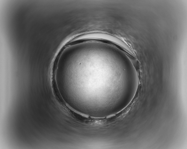 X0000096640056200802051137