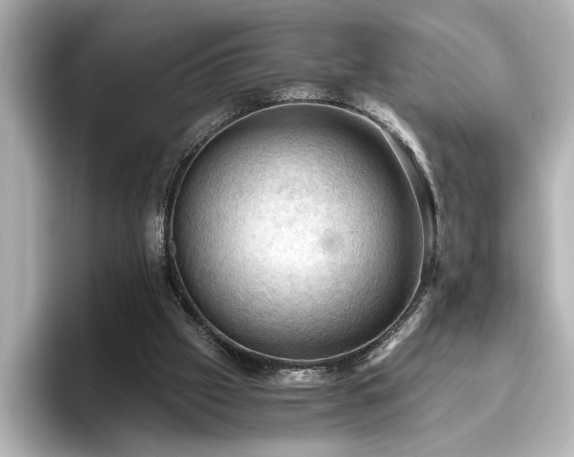 X0000096640057200802051137