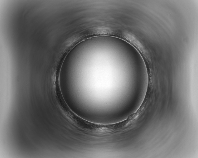 X0000096640058200802051137