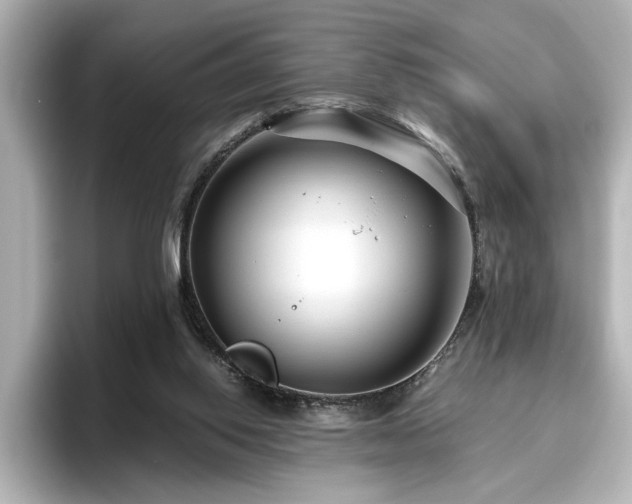 X0000096640062200802051137