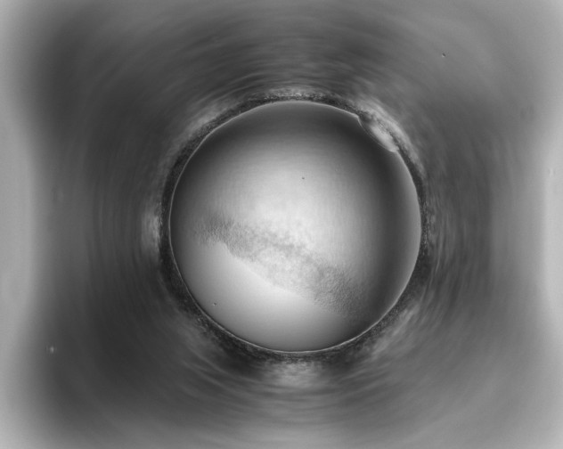 X0000096640063200802051137
