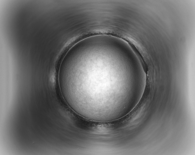 X0000096640064200802051137