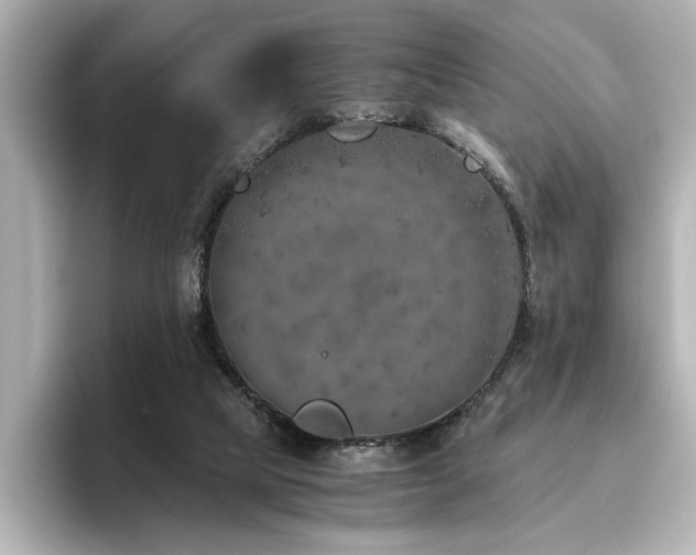 X0000096640065200802051137